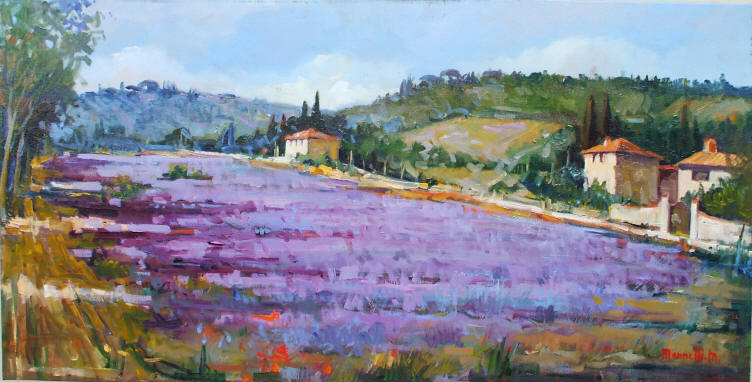 Campo_di_Lavanda_a_salaiole_